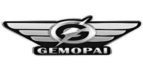 Gemopai_Moped_Repair_Service